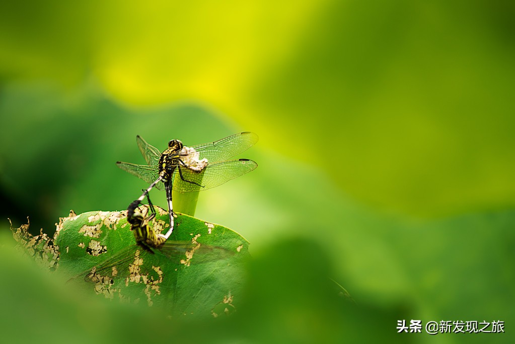 如果没了人类世界有多可怕,如果没了道德人会怎么样