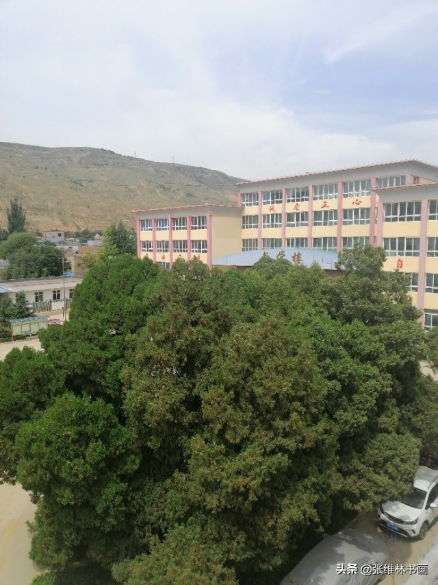 胡集镇伏羲学校,甘谷县永安伏羲学校五年级一班