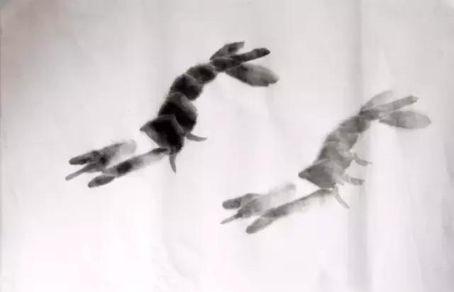 墨龙画法教程简单毛笔,河虾简笔画教程