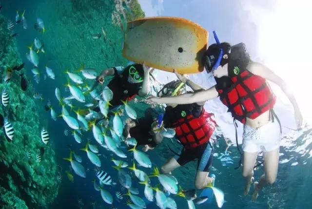 对帕劳之行的感悟,帕劳一场诗和远方的旅行