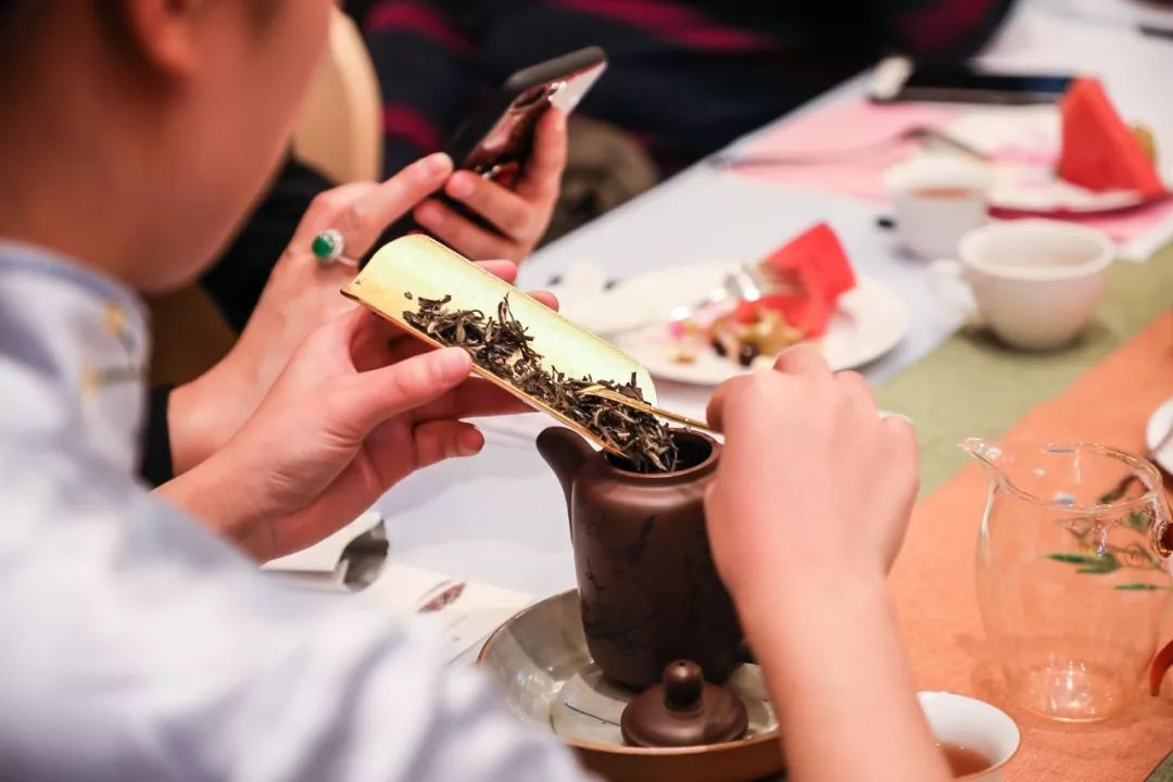 福鼎老白茶白牡丹正宗明前,老白茶白毫银针白牡丹