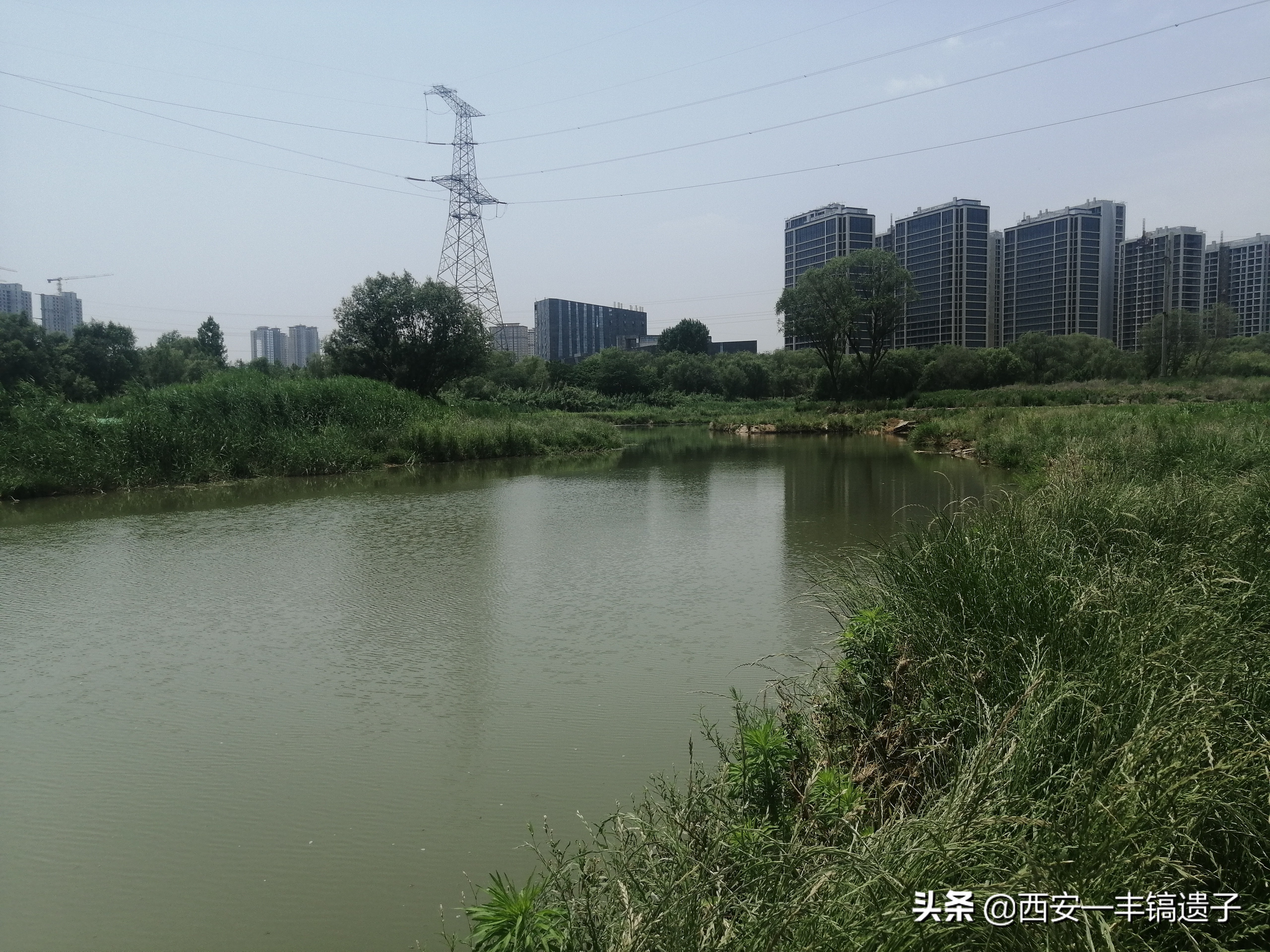 灞浐风烟函谷路解析,灞浐风烟函谷路什么意思