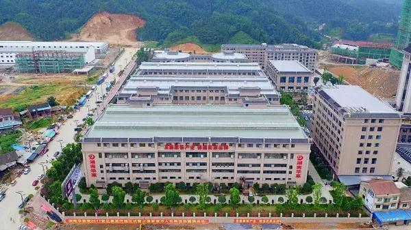 湖南华莱生物科技有限公司茶叶,湖南茶叶龙头企业达六家