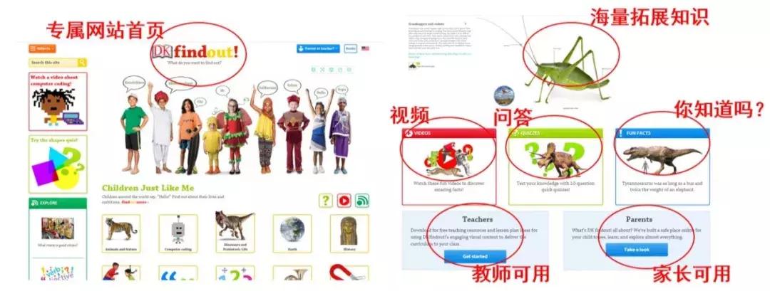 被封神的DK儿童科普书籍，到底哪些值得读？建议家长入手前看这篇