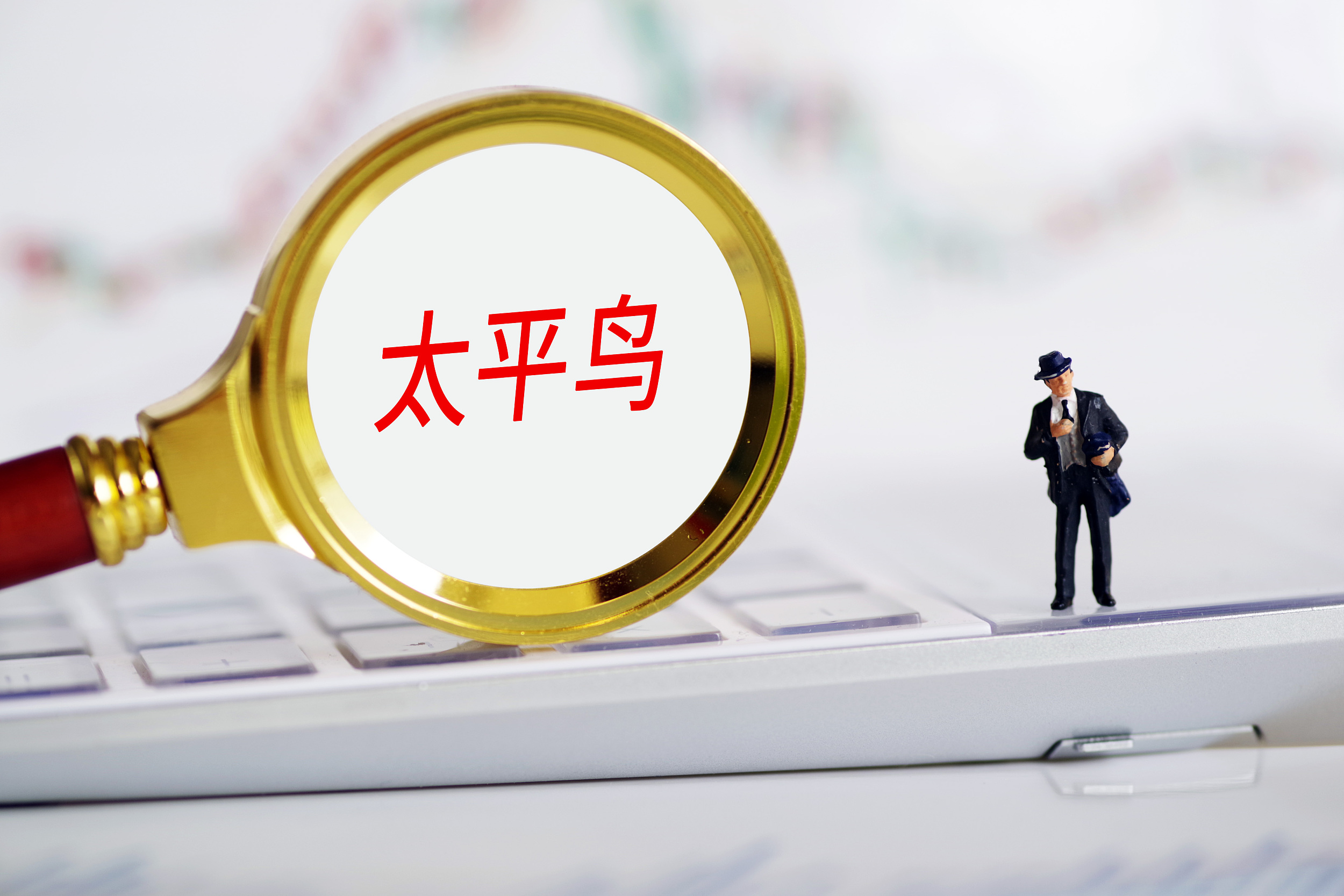 太平鸟业绩为什么下跌,太平鸟预计去年净利