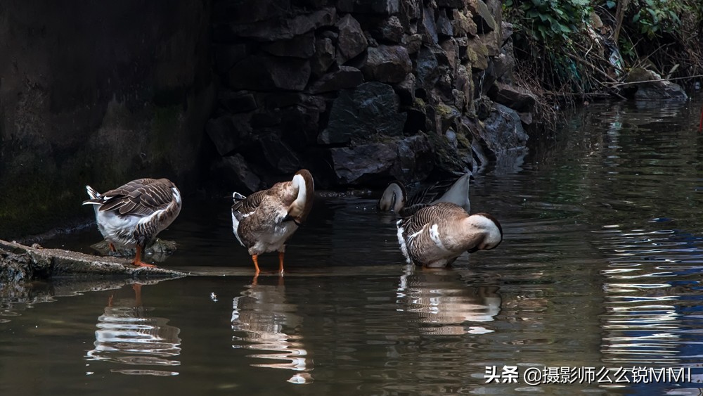 贵州偏远山村与世隔绝,贵州从江县偏远山区最穷村寨生活