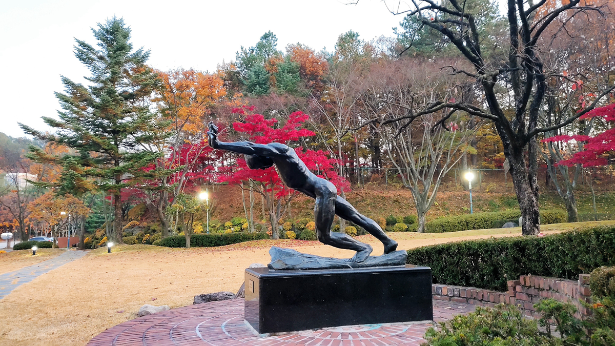 马后炮24年第022期预测,马后炮第287期预测