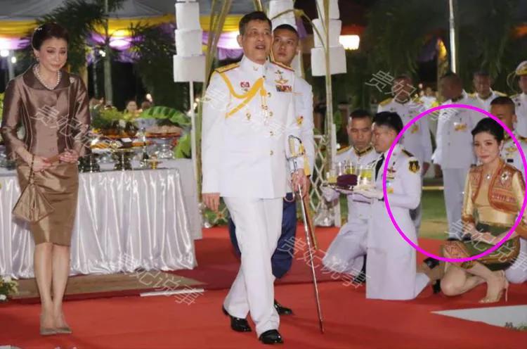 最新公务活动，诗妃坐次改变暗示地位改变，跪地卑微惹人怜