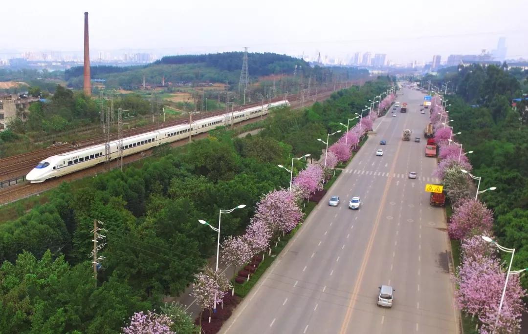 动车组列车开行计划,2024年全国铁路高速动车组列车