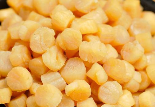 哪个地方的瑶柱品质好,正宗瑶柱价格表