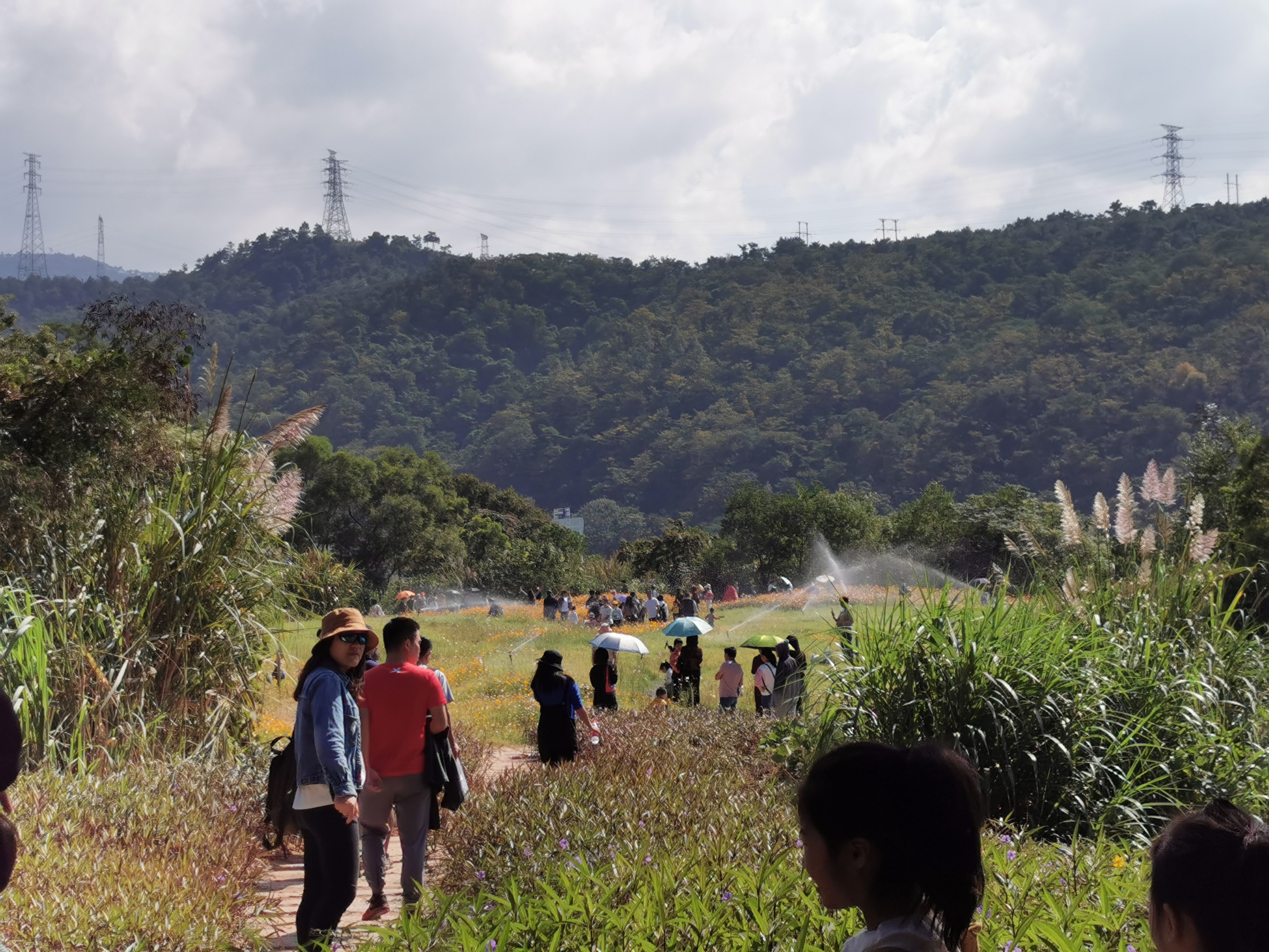 登云水库,登云湖水库
