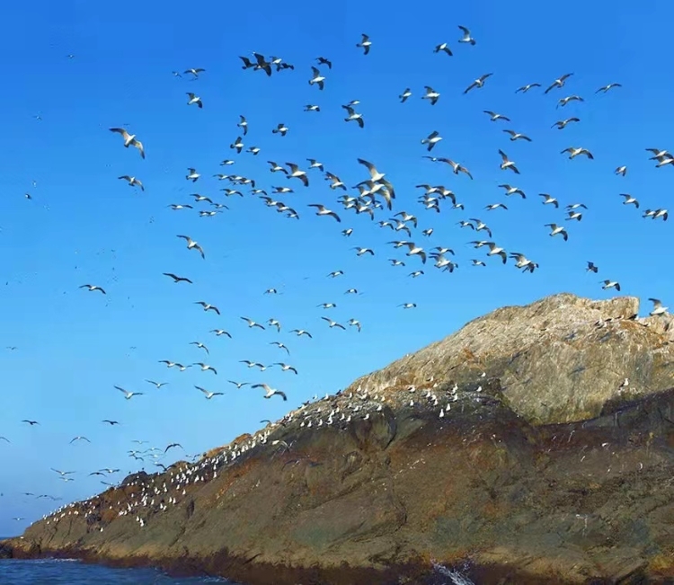 温州洞头一日游必去景点推荐,温州必去旅游景点