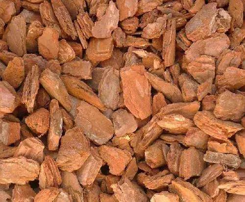 养花配土和种土哪个好一点,养花知识大全及配土