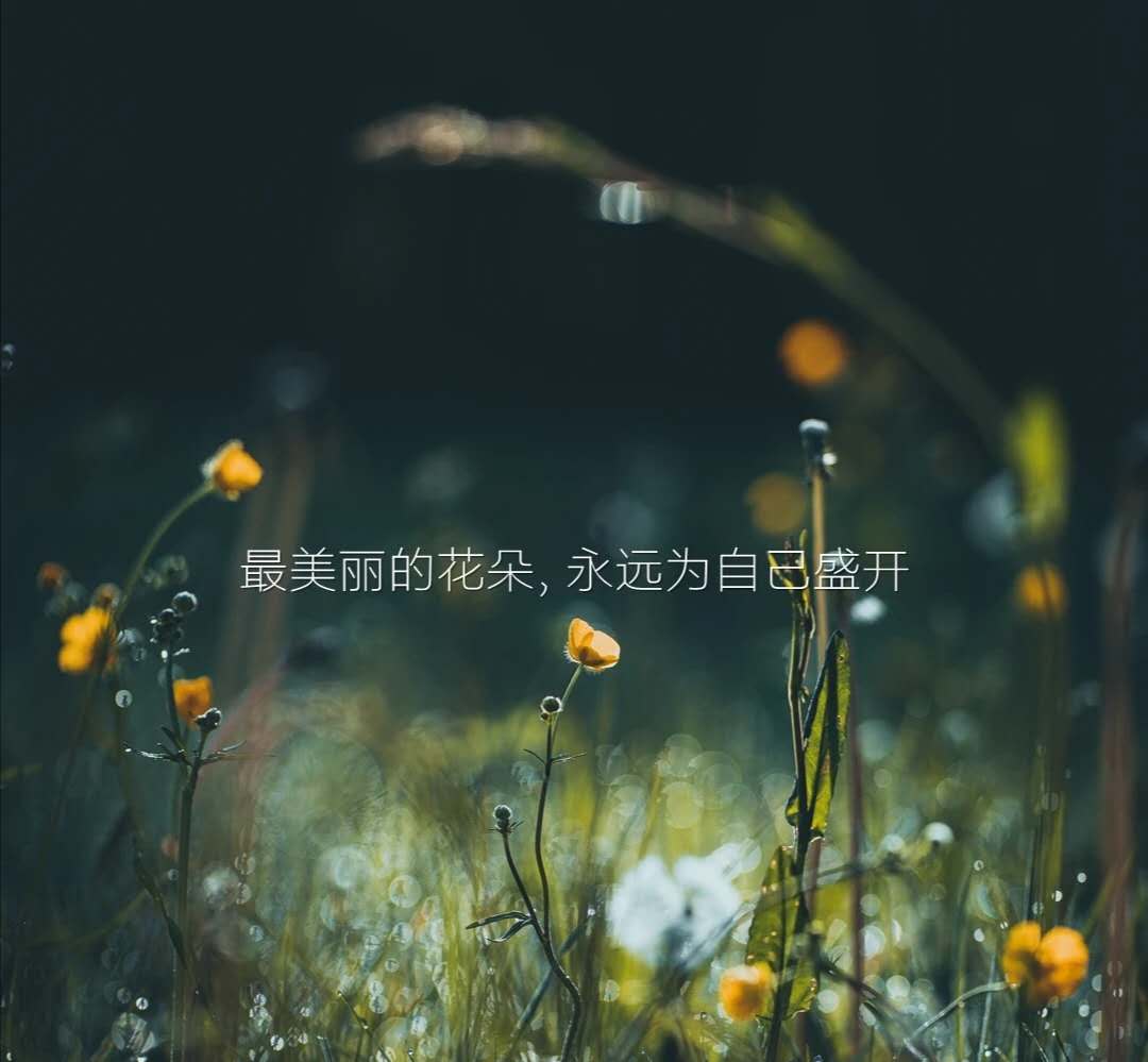 酒店特许经营申请书,酒店加盟条款