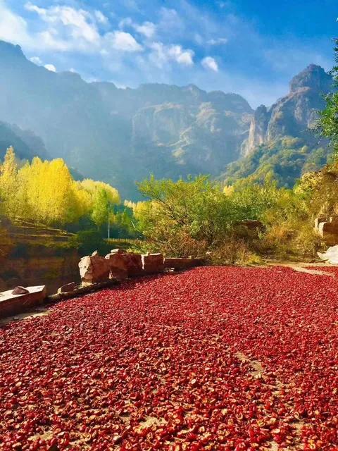 安阳出发南太行经典自驾路线,从洛阳出发自驾南太行的最佳路线