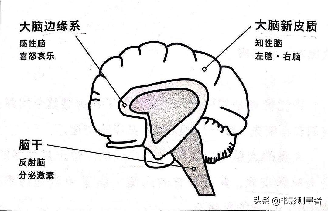 他27岁实现财富自由如今身价百亿,他身家上亿37岁出道