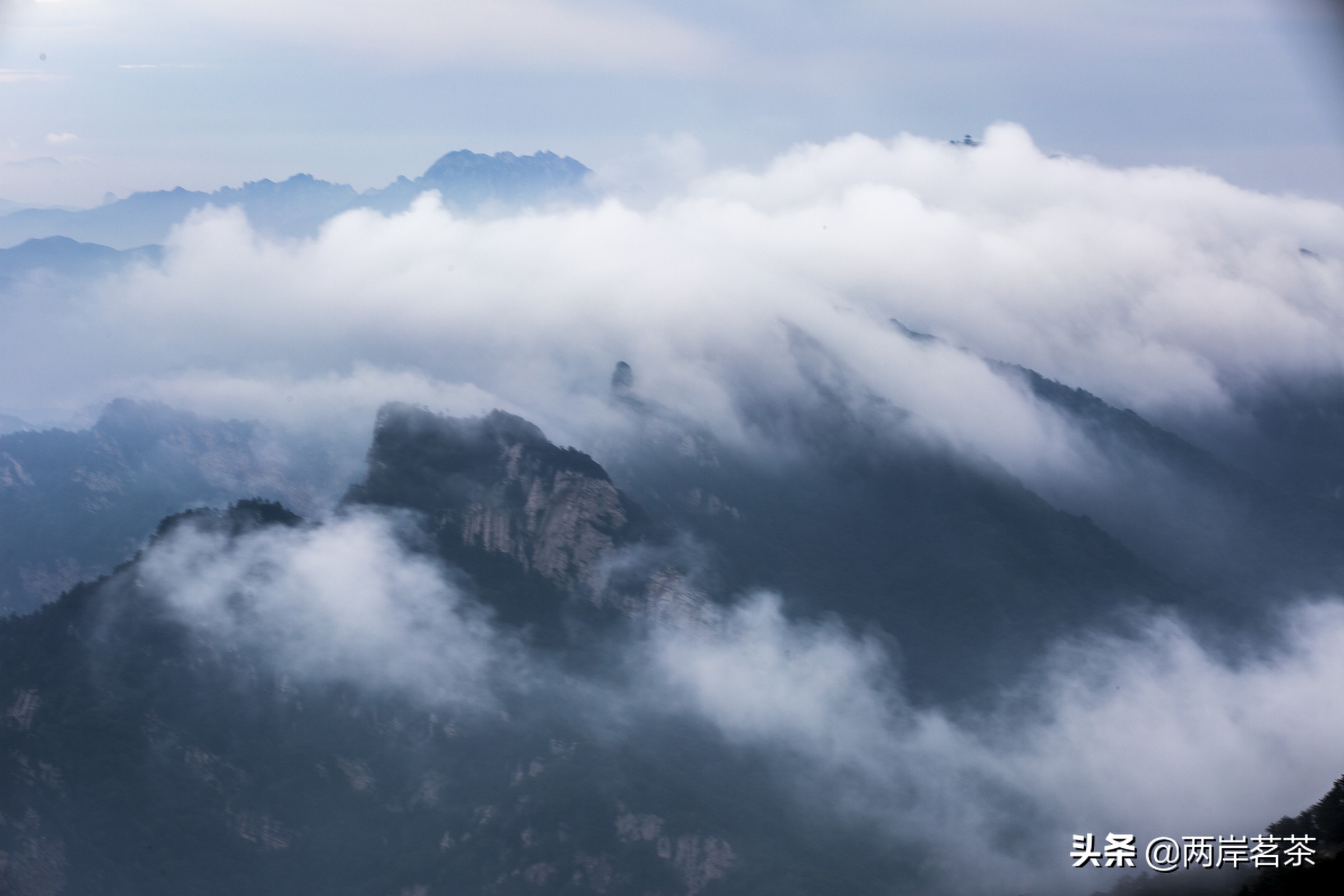 再看白云山，看山不是山，它是一本百读不厌的百科全书