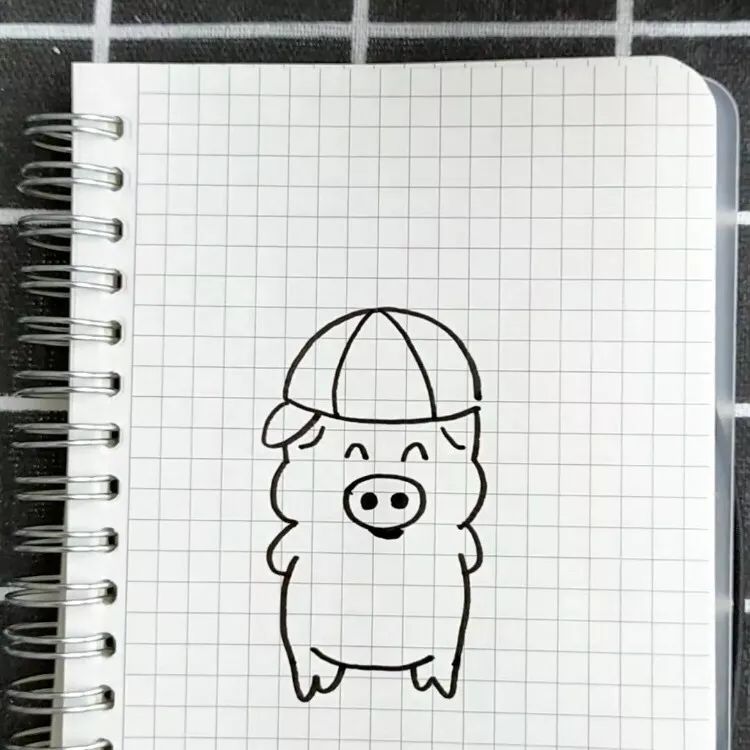 画一只可爱的小猪,小猪的脸怎么画是可爱的