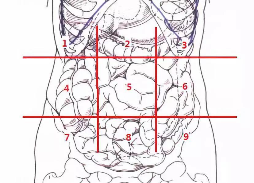 别小看腹痛诊断却大有学问,腹痛的诊断要点及鉴别诊断有哪些