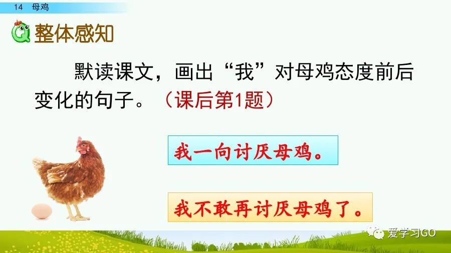 四年级下册语文母鸡课文重点讲解,四年级下册语文14课母鸡重点知识