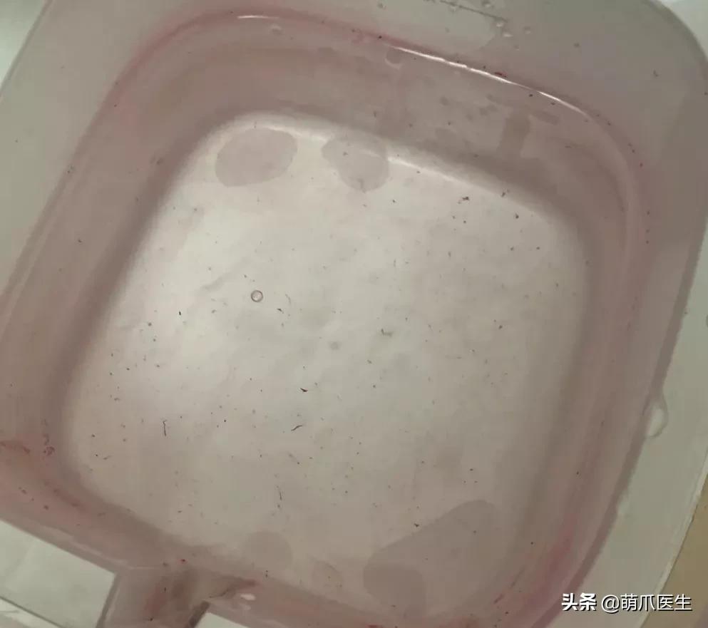 用了五年的饮水机,用了饮水机猫咪喝水量增多