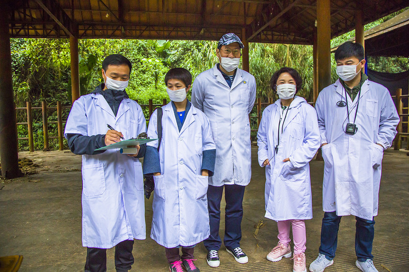 到西双版纳过大年，六日出行超详细吃，住，行攻略