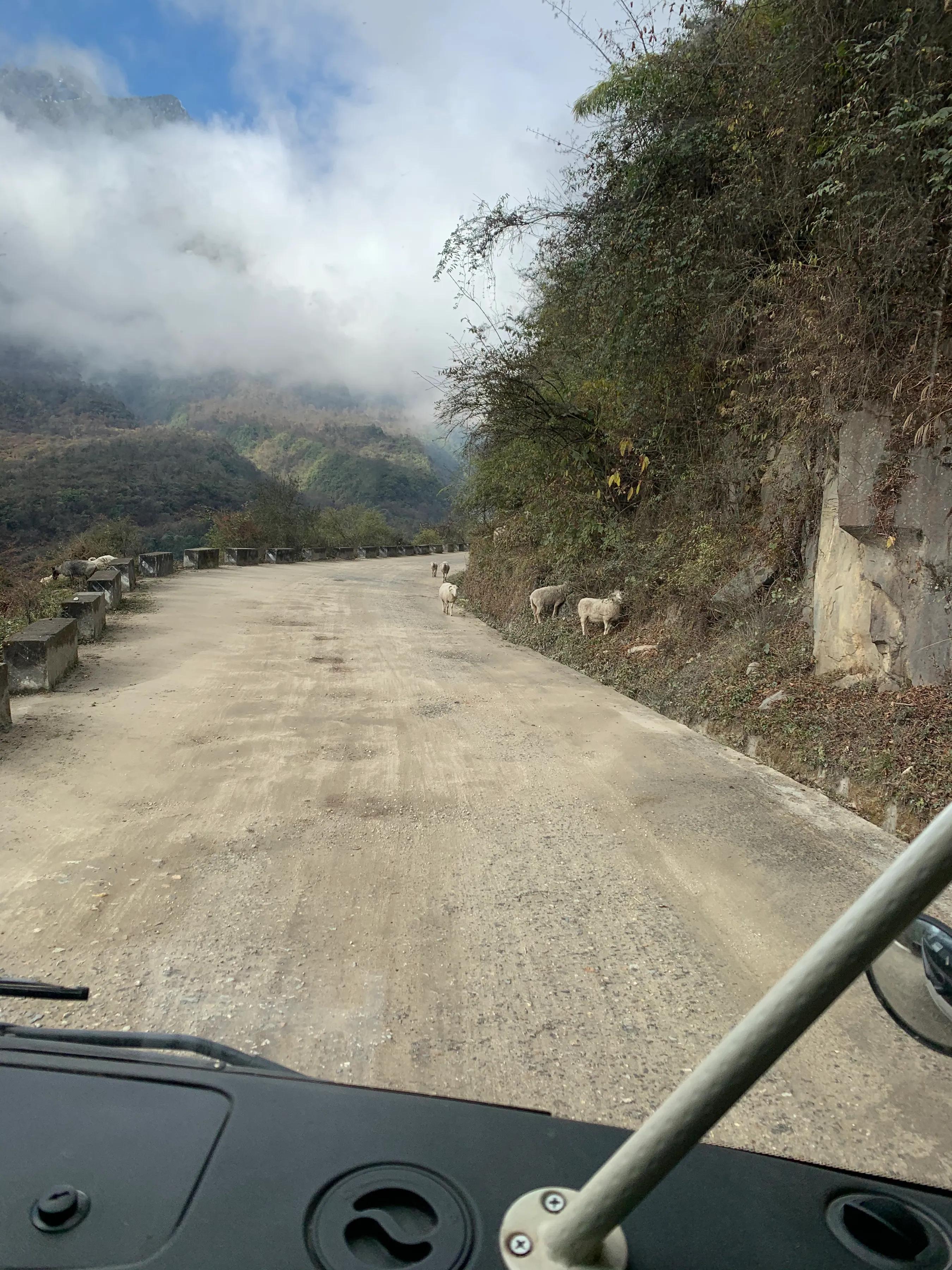 海螺沟燕子沟旅游攻略,海螺沟和燕子沟哪个更值得去