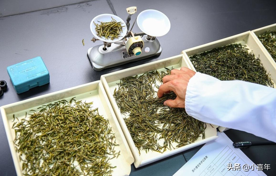 茶汤里有絮状,茶汤中出现泡沫