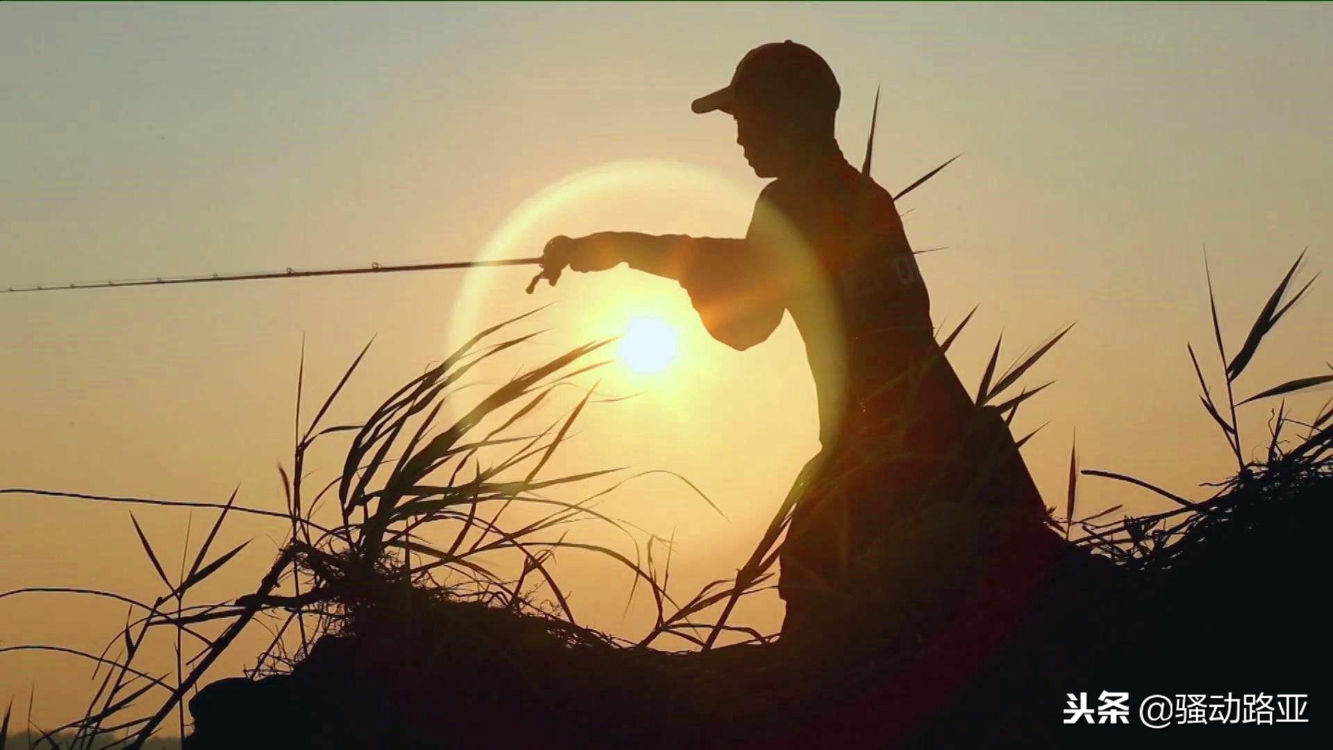 路亚参数讲解,新手入门路亚怎么选参数