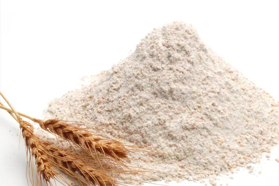 什么地方的面粉最好最正宗,全国哪家面粉最好