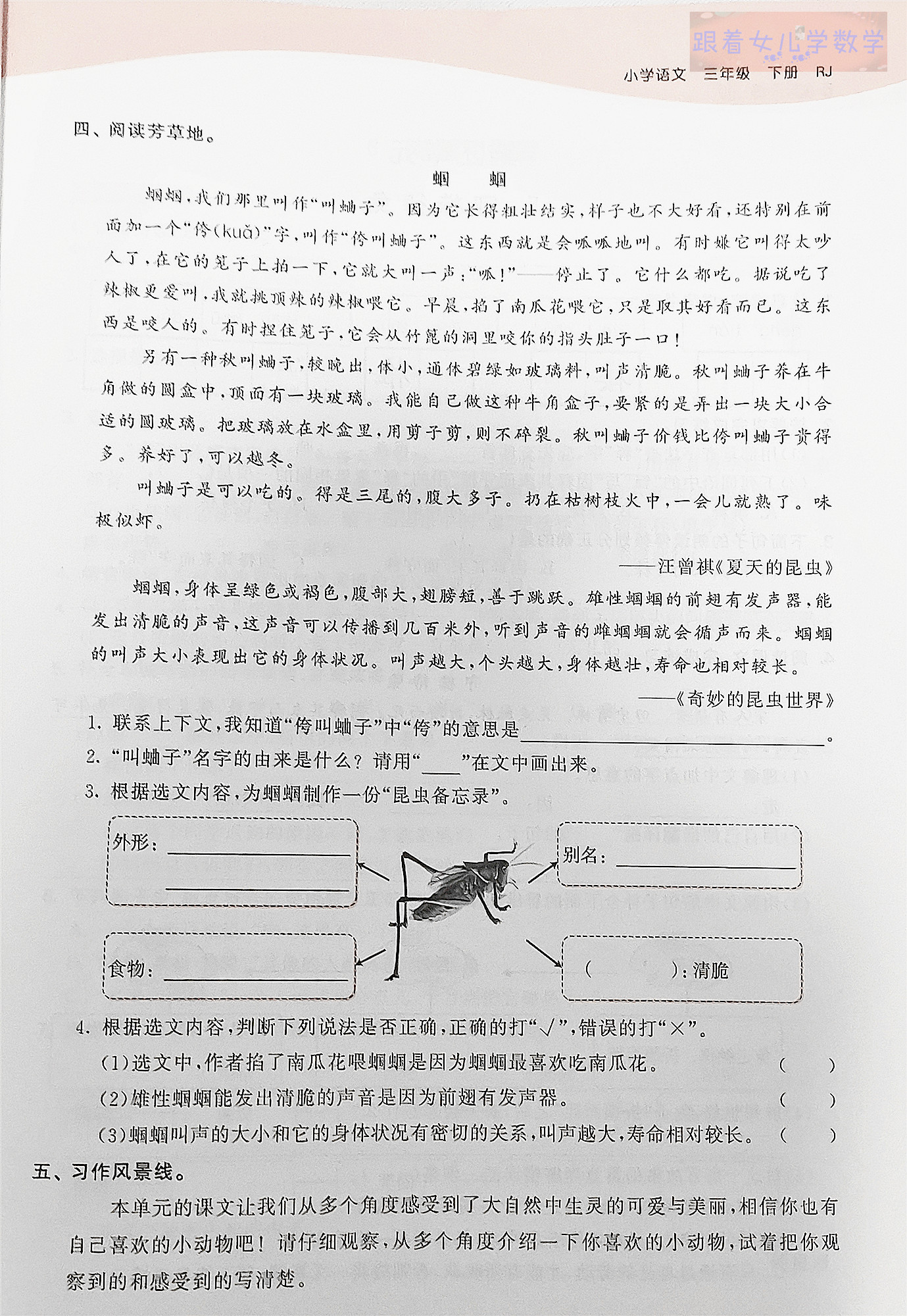 三年级语文下册各单元练习及答案,三年级下册语文第三单元语文园地