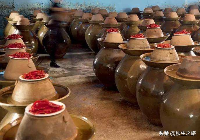 四川泡菜制作综合实践活动方案,四川厨师泡菜最正宗的做法