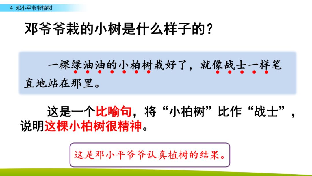 部编版二年级下册语文第4课《*小平邓**爷爷植树》知识点+图文讲解