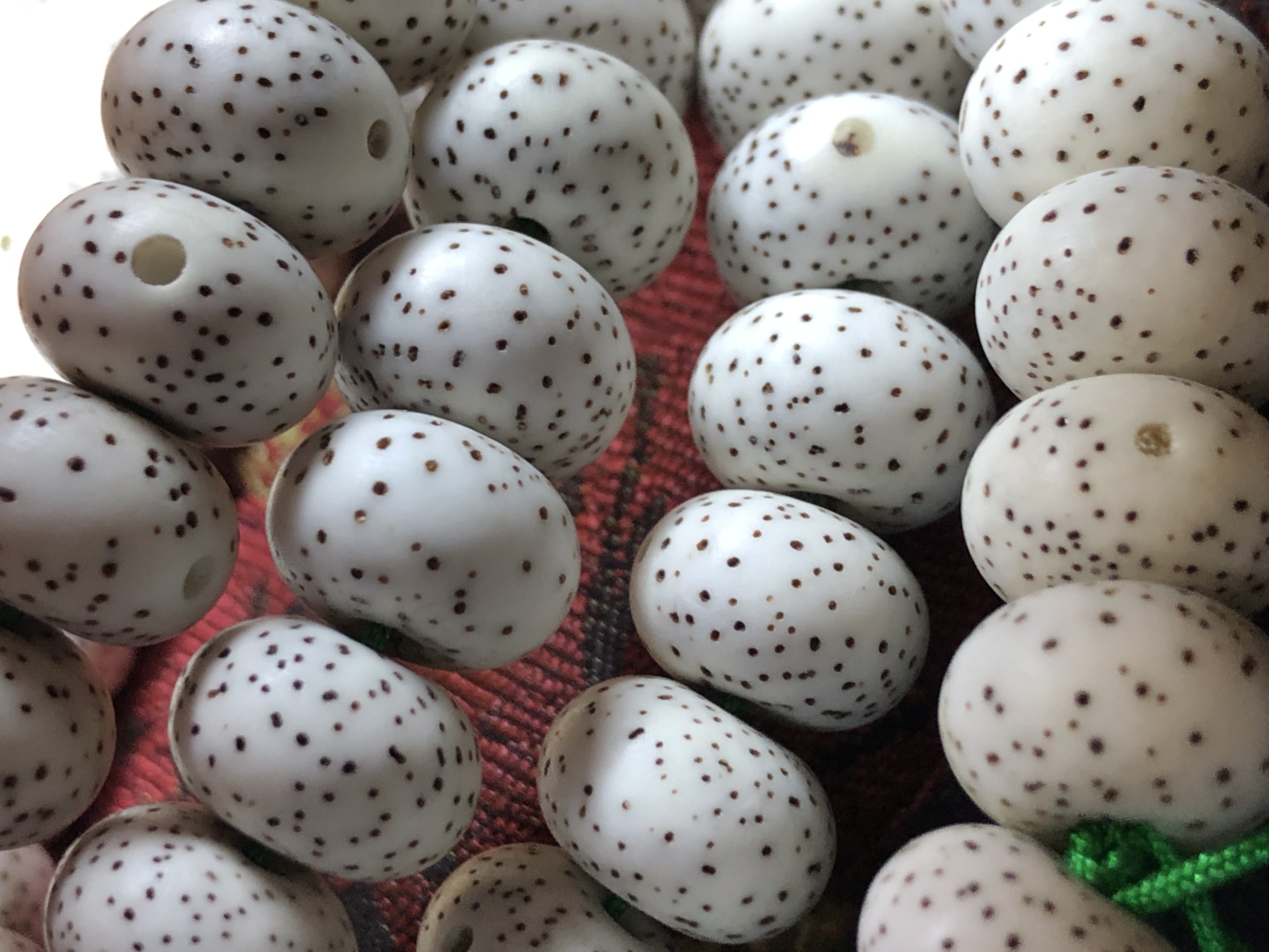 新手入手星月菩提怎么挑选,新手怎么选择星月手串