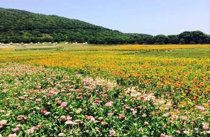 宁波最美盘山公路,刺激盘山公路