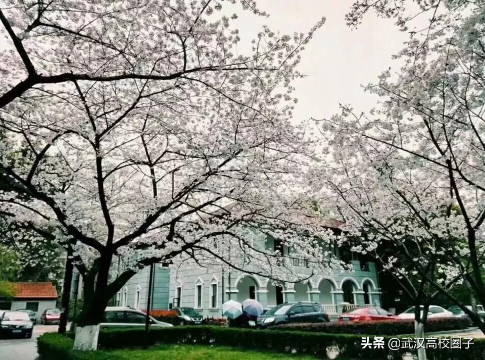 湖北中医药大学，是湖北省唯一一所高等中医药本科院校