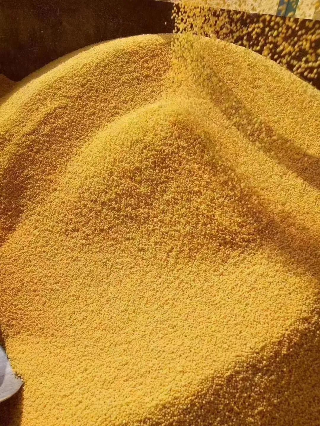 谷子糜子碴子什么区别,谷子糜子区别图片