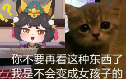 神仙打架杀出黑马!这就是秋季国创动漫最强猫娘么?