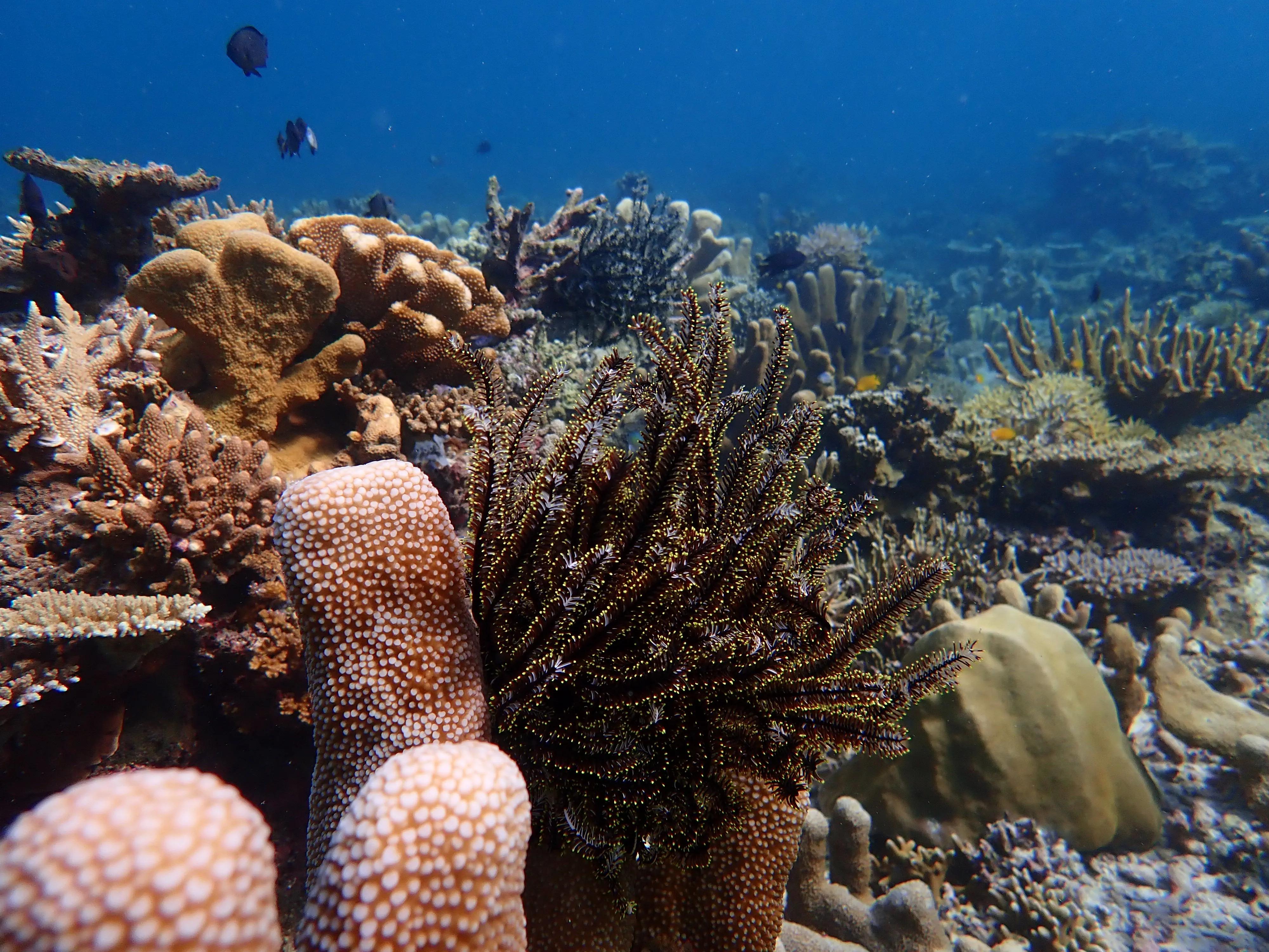 刚上市怎么赚钱,从零开始创业赚钱机会大吗