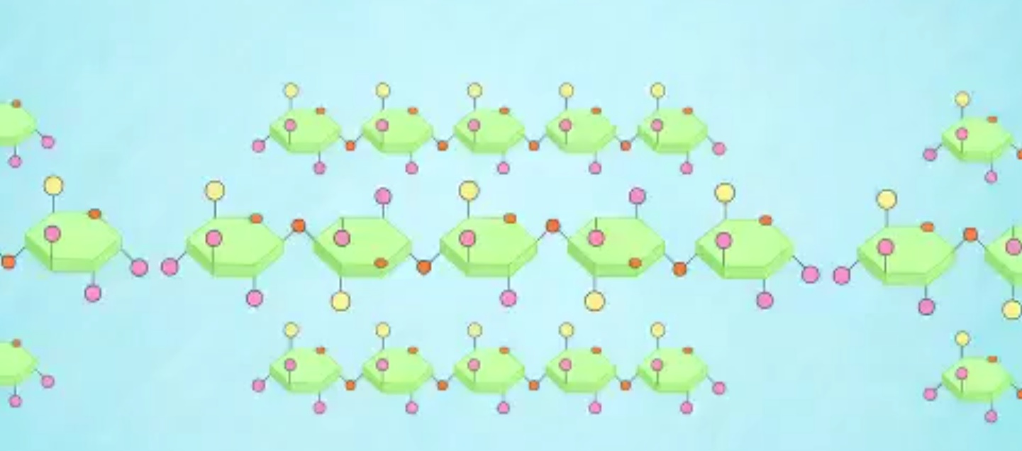 碳水化合物为啥是糖呢,碳水化合物是什么和糖有什么区别