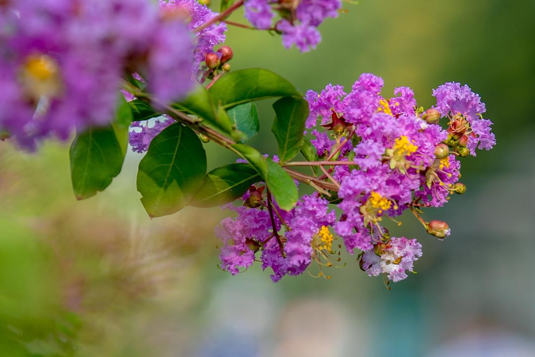 在济南花式避暑,一见“清”心!只需一瞥,便足以把酷夏原谅…