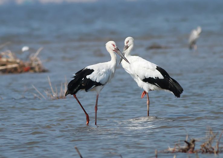 美文美图诗词,启迪一生的精品美文图片