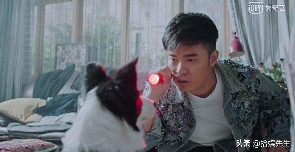 陈赫王子文动物管理局简介,动物管理局陈赫身份被王子文发现