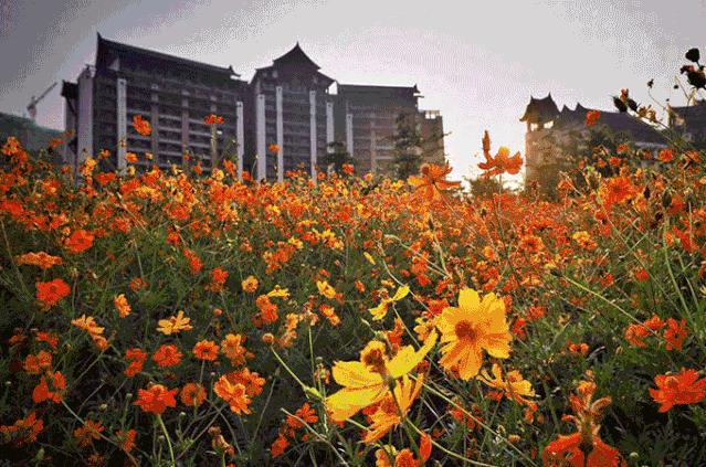 藏在广东的巴厘岛温泉酒店，深挖熹乐谷玩法，广州周边游