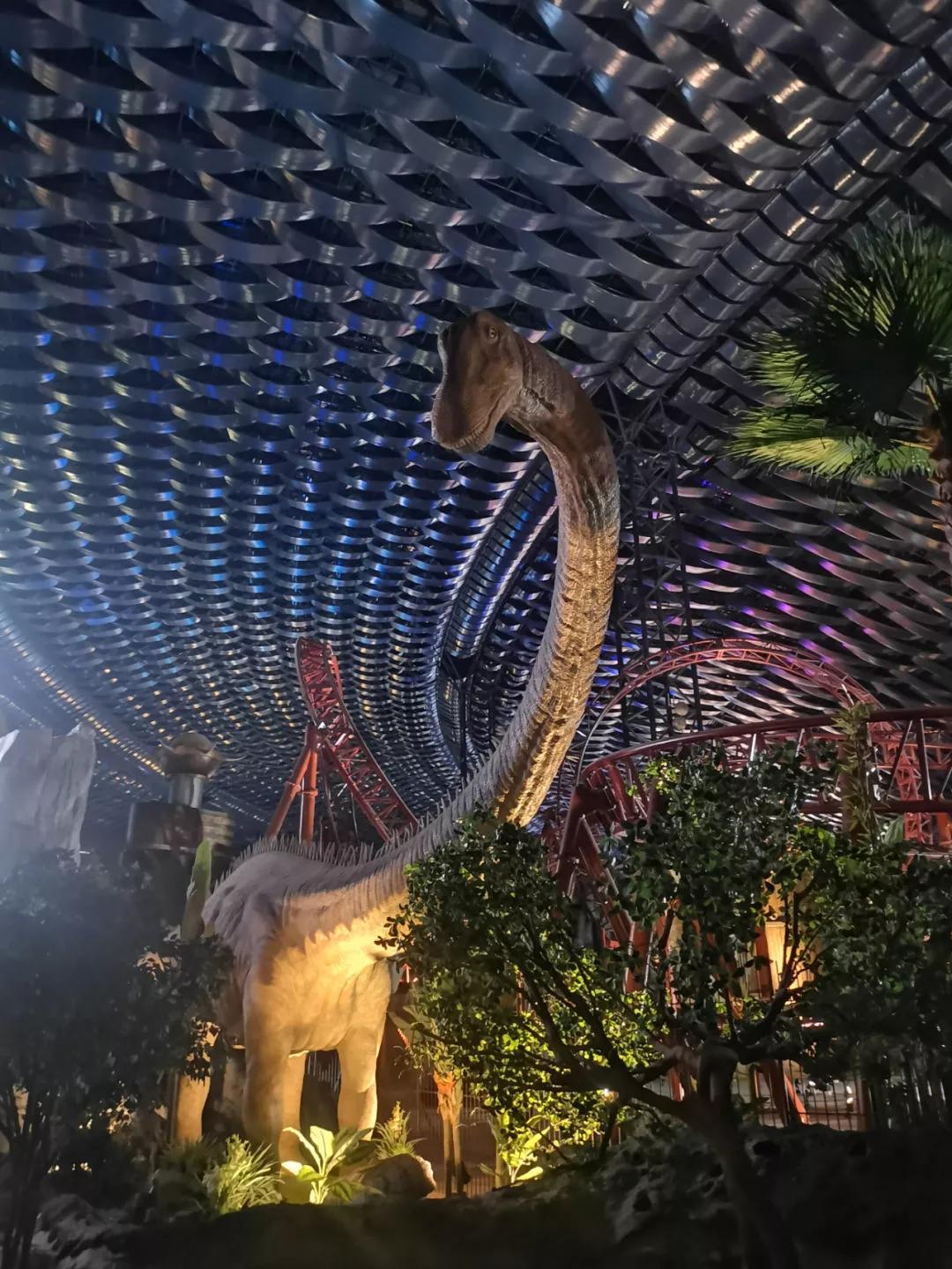 迪拜和阿布扎比旅游注意事项,阿布扎比和迪拜自由行攻略