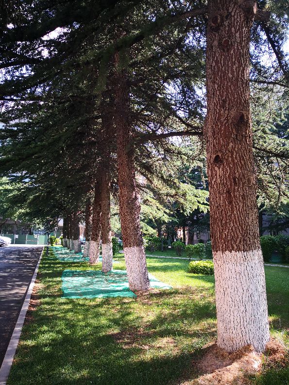 国家电网甘肃电力科学研究院地址,国网甘肃电力公司电科院近期新闻