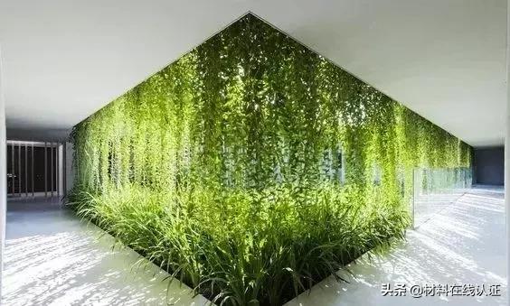植物窗帘效果图大全,植物窗帘图案