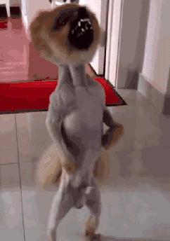 BOSS观点:你们凭什么这么牛13?