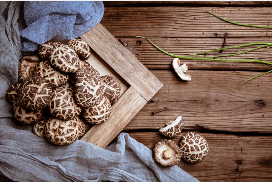 食用菌六步宝典,食用菌栽培手册