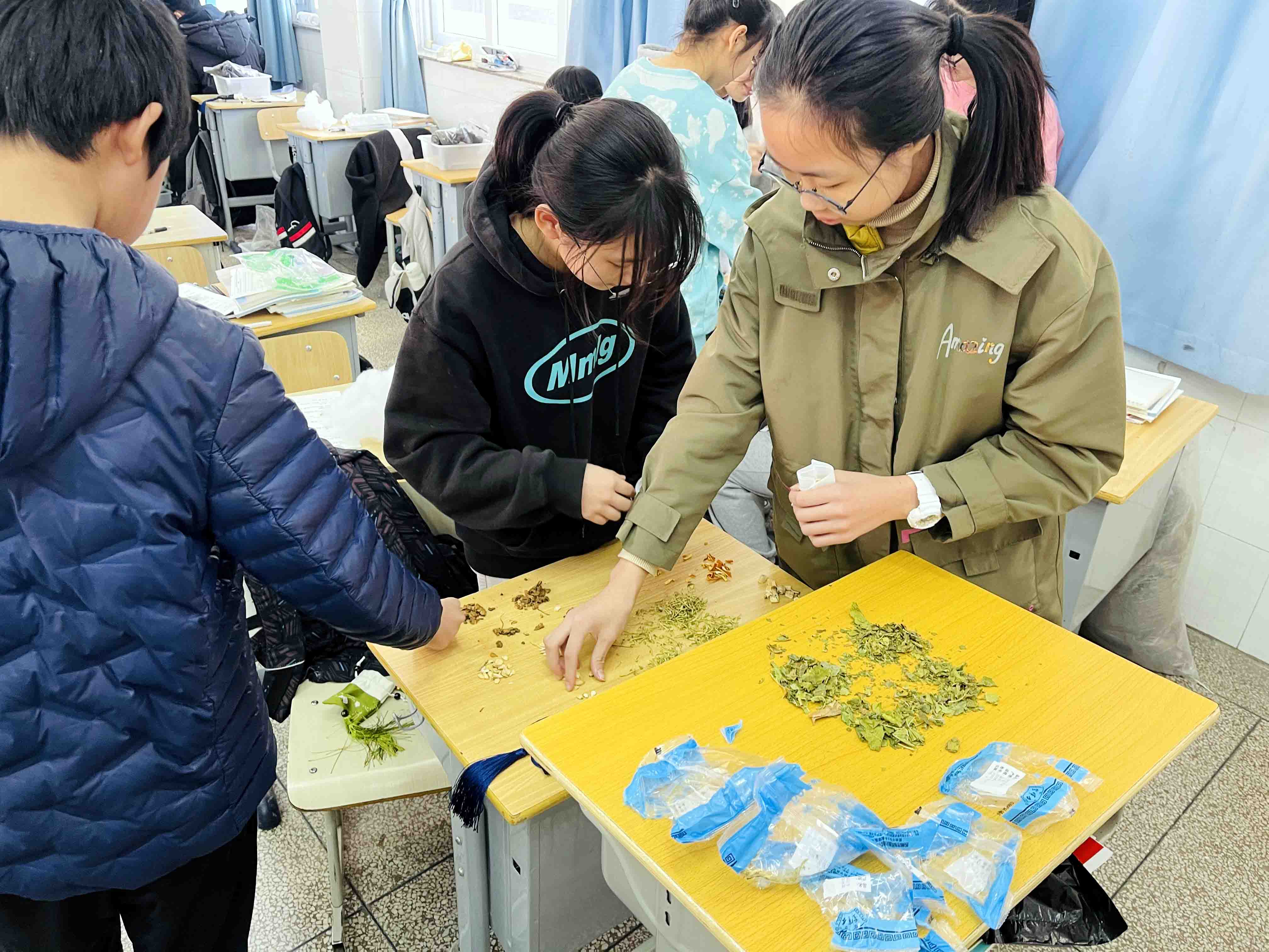 苏州市吴中区迎春中学：中草药文化进校园感受传统文化魅力